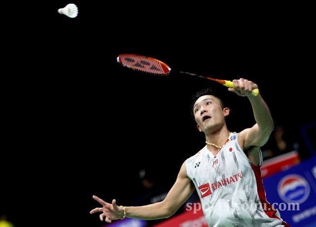 张而优雅的 张而优雅的