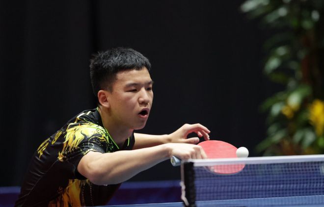 尽管山东队 尽管山东队