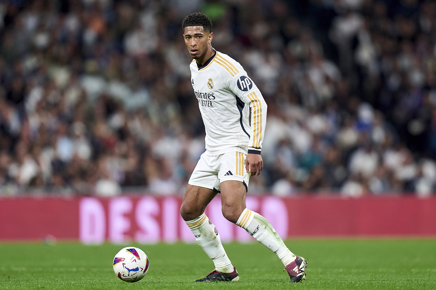 外界的关注 外界的关注