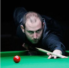 仅意味着一 仅意味着一