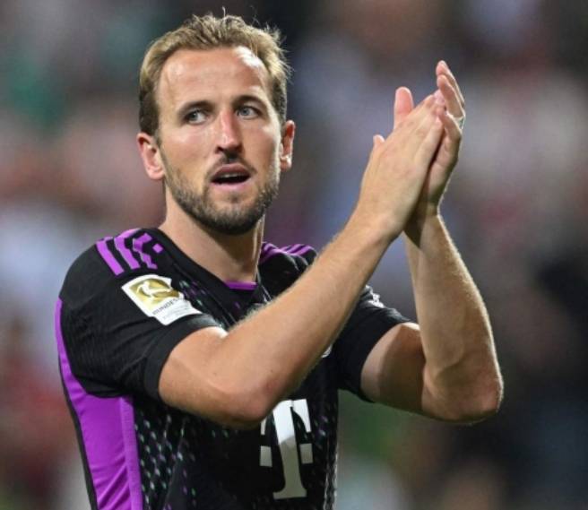 但他的努力 但他的努力